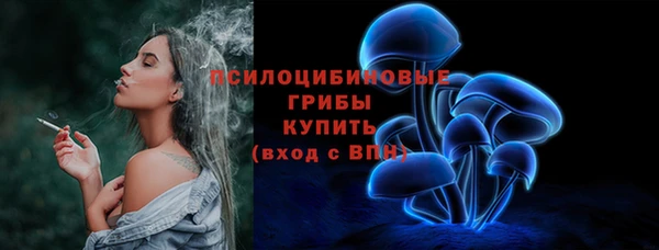 дживик Каменск-Шахтинский