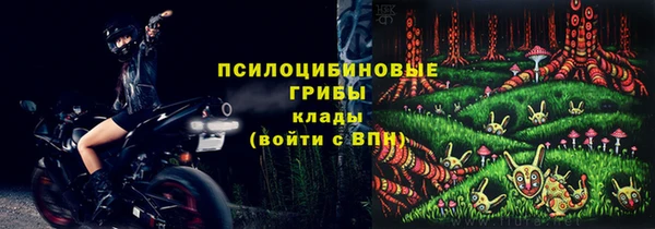 прущие крисы Каменка