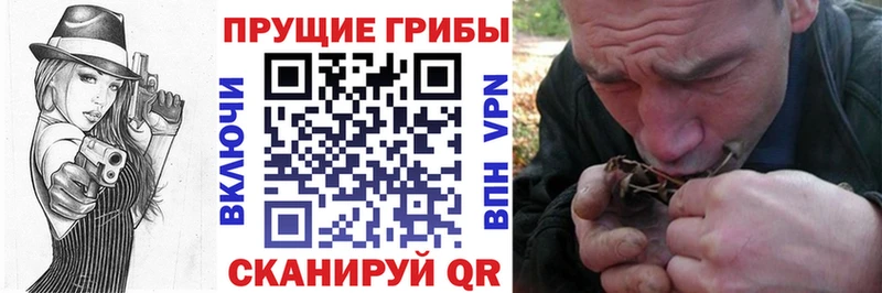 Купить  Ухта  Галлюциногенные грибы Magic Shrooms 